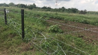 Изградиха 81 км от оградата по границата с Румъния срещу диви свине