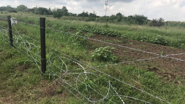 Изградиха 81 км от оградата по границата с Румъния срещу диви свине