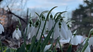 Днес ще бъде предимно слънчево и топло Ще духа слаб