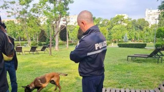 186 акта са съставени на собственици на кучета в София от началото на годината