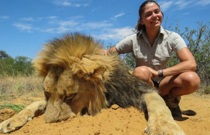 Половината лъвове в Африка изчезват до 20 години 