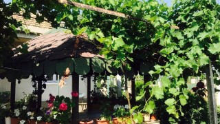 Ваня Червенкова показа бащината си къща Бизнес дамата публикува снимки