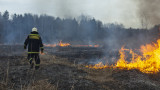 Как да помогнем в борбата с пожарите в България