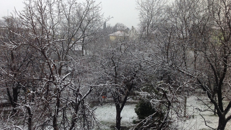 Възрастни съпрузи починаха от измръзване