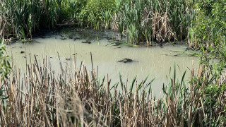 Река Сливнишка на територията на село Петърч в община Костинброд