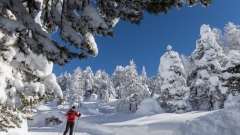 21-годишен скиор загина в Чепеларе