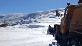 Държавните горски предприятия се включват в почистването на снега