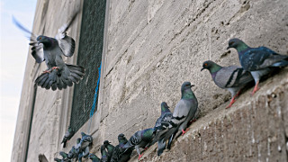 Увеличаването на молбите за развод в част от Индонезия е причинено от