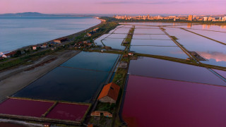 Коалиция За да остане природа в България алармира за лоша
