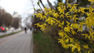 Днес в по голямата част от страната ще преобладава слънчево време