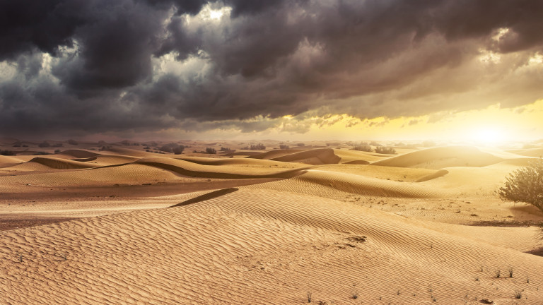 Пустинята Сахара се е разраснала на юг с 10 процента