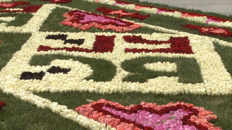 Килим от рози украси пространството пред Националния дворец на културата.
