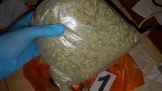 В специална операция на полицията в столицата днес са задържани