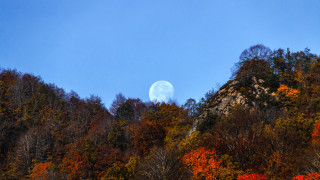 На 5 ноември 2025 г ще можем да наблюдаваме най близката