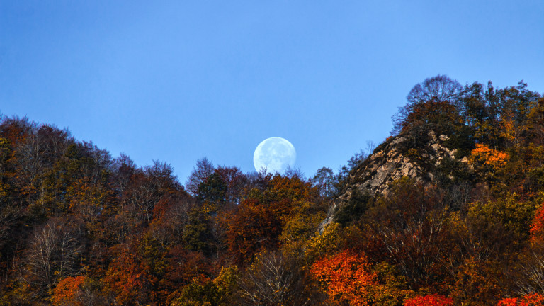 Ноемврийска суперлуна - най-близкото пълнолуние за 2025 г.