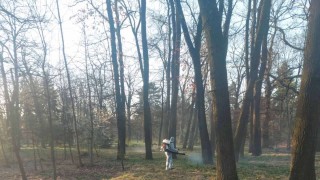 По график започват обработките на зелени площи паркове градини и