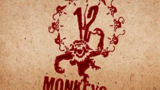 Сериалът "12 маймуни" чука на вратата