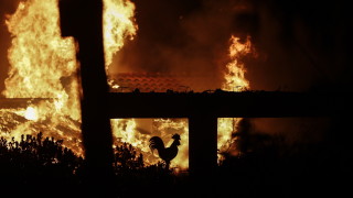 Министър Тоскас: Пожарите край Атина са причинени от палежи