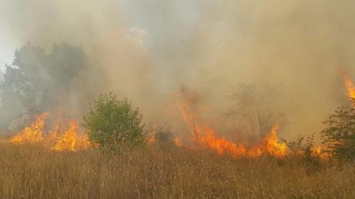 Пожар пламна край Ветрен