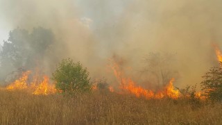 И днес в гасенето на големите горски пожари в областите