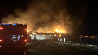 Повече от 15 животни са загинали в следствие на пожара