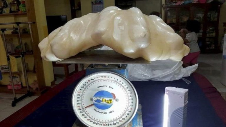 Във Филипините откриха най-голямата перла в света, тежаща невероятните 34 кг