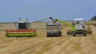 Зърнопроизводителите не харесаха предлагания от Министерството на финансите проектобюджет за