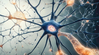 Как начинът, по който говорим, може да предскаже дали ще развием Алцхаймер