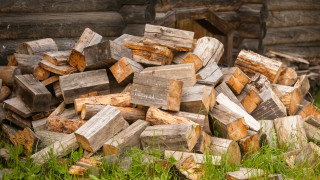 Жителите на Франция започнаха да купуват повече дърва за огрев