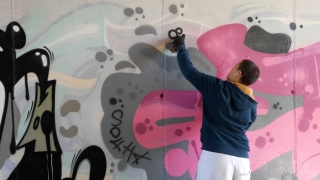 Смелчага преджапа релсите, за да рисува по спрял влак на метрото в София