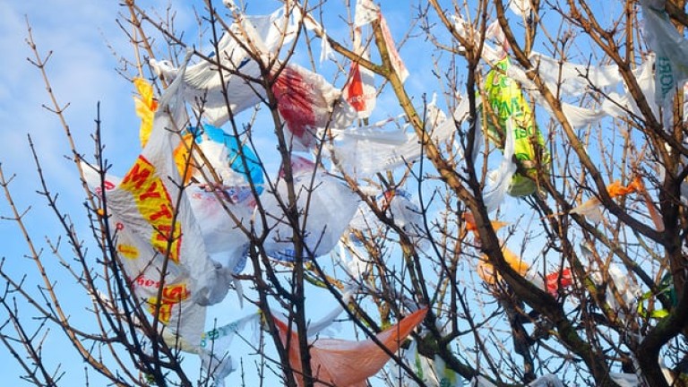 Глоби до $19 000 и затвор: Местата по света, където пластмасовите торбички са незаконни