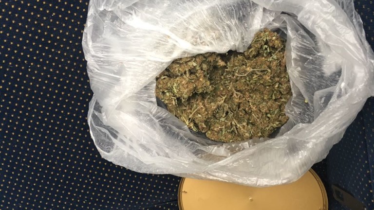20 кг марихуана задържаха при специализирана полицейска операция в Разградско.