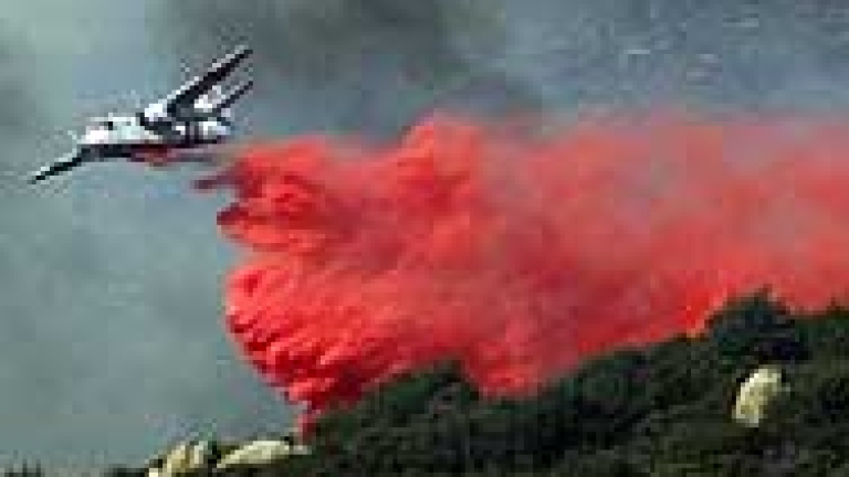 Изображение 12833