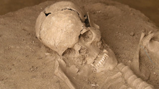 Човешки кости откриха край Горна Оряховица