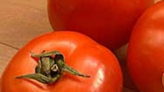 В Пазарджик раздават безплатни домати 