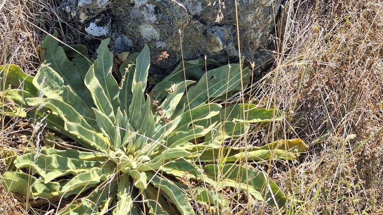 Изображение 713733