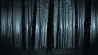 Полицията в Бургас е открила издирвания Атанас Съзанов съобщи БТА