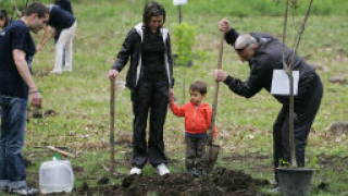 Над 500 дръвчета засаждат край Белозем