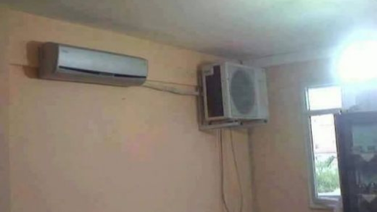 Изображение 244033