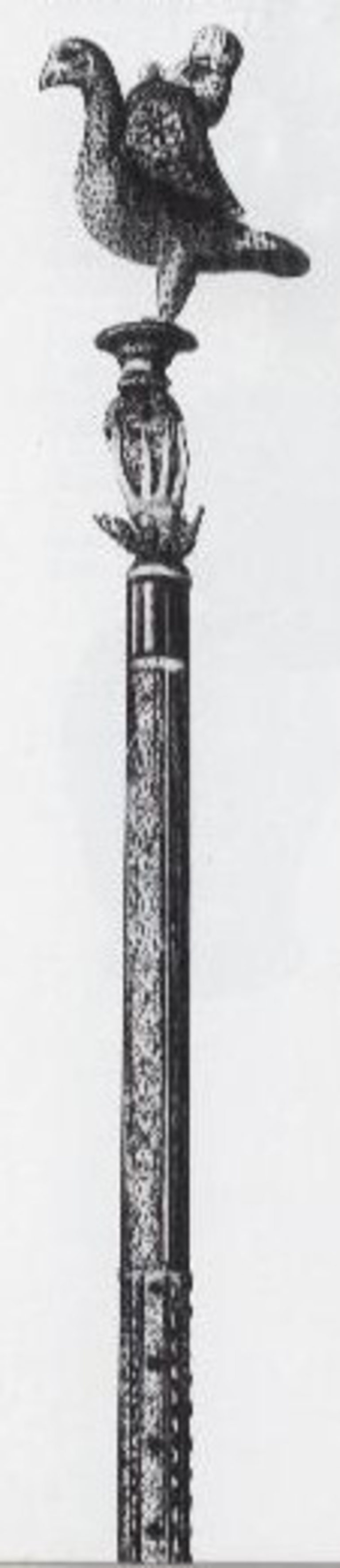 Снимка 374733
