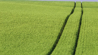 10 невероятни места из света