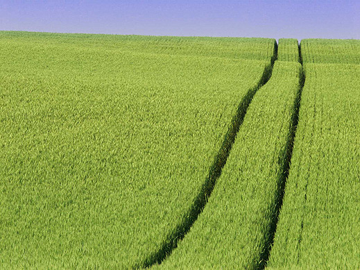 10 невероятни места из света