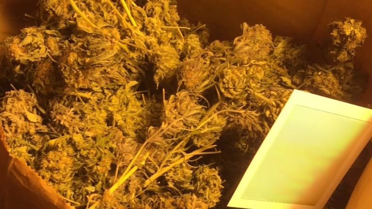 Полицаи откриха домашна оранжерия за трева в дома на 54-годишен