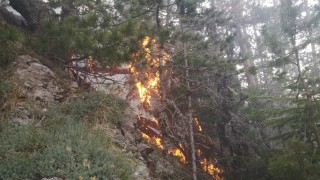 В селата Бездeн и Богьoвци пожарът е овладян съобщи за