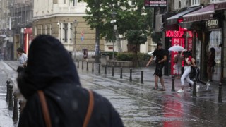 Гръмотевична буря събори дървета и клони в София