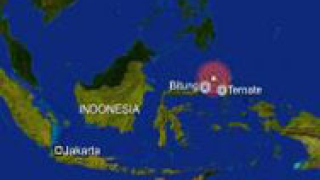 Серия от трусове разлюля Индонезия