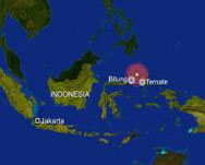 Земетресение с магнитуд 6,6 разтърси индонезийски остров