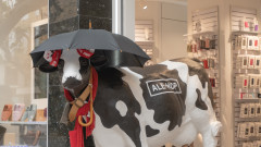 Магазините с евтини стоки, които превземат Западна Европа. Ще дойде ли още един дискаунтър в България?