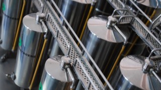 Австрийската компания Palfinger която има Глобален бизнес център за услуги