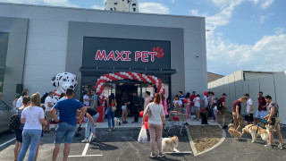 През изминалата празнична за Пловдив седмица стотици граждани на града